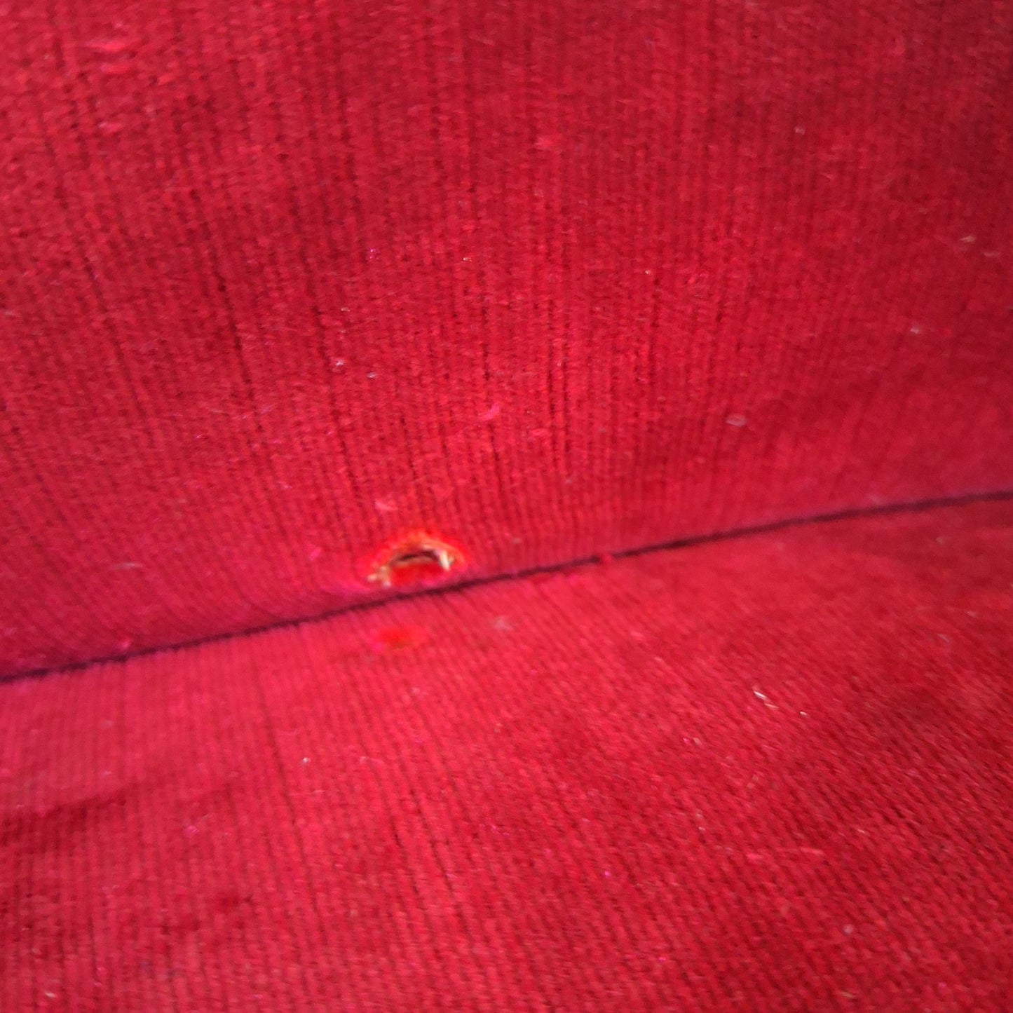 0Divano curvo anni '50 